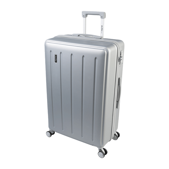 Silver luggage sales